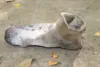 Изображение товара 0