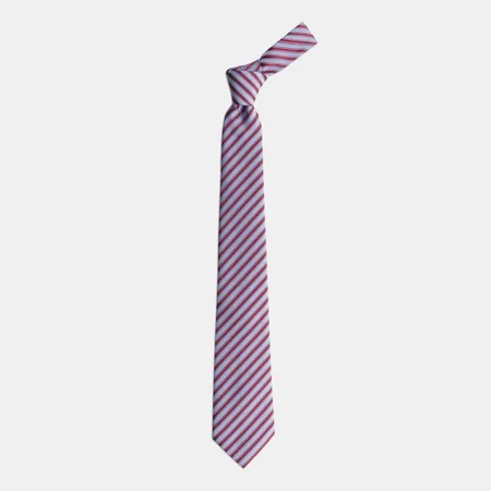 

Red Stripes Blue Tie 67826634