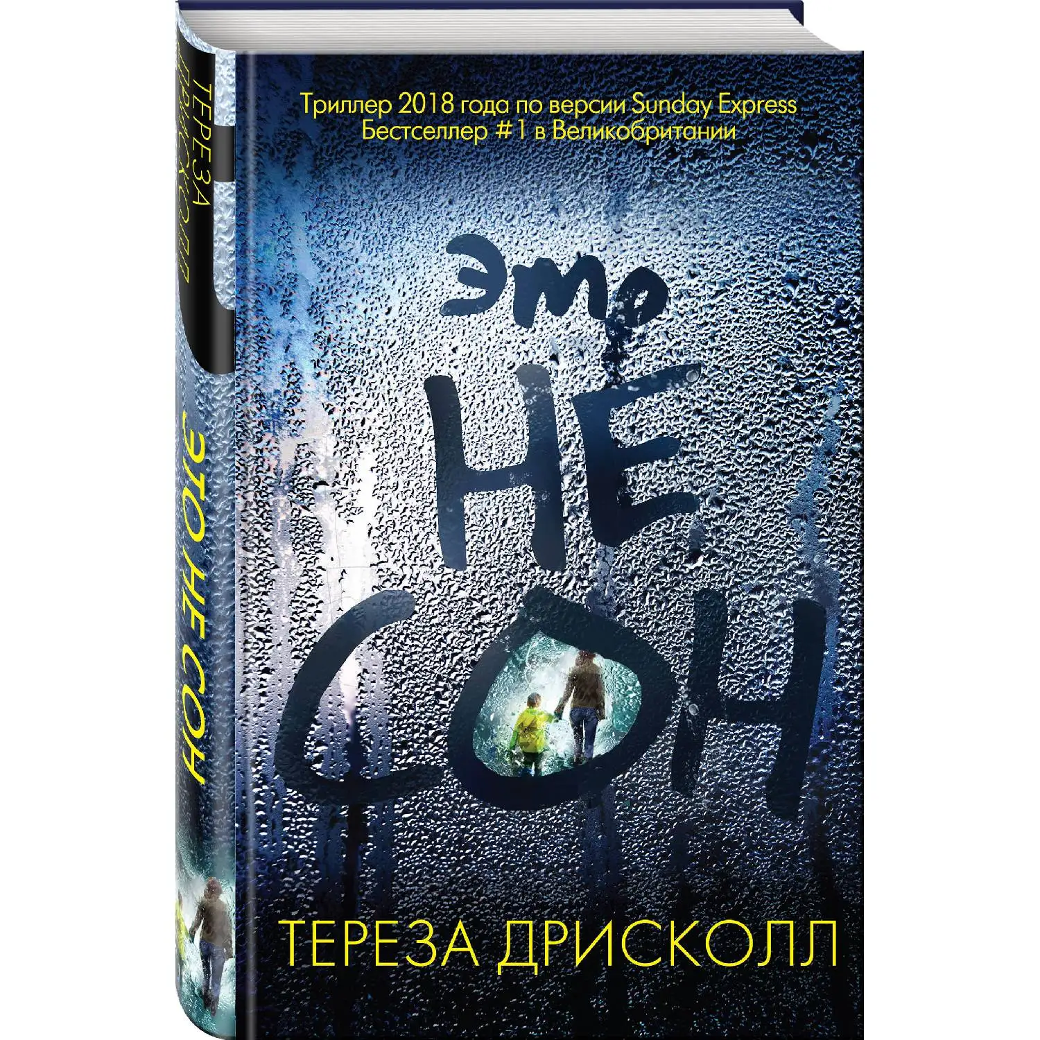 Это не сон. Тереза Дрисколл (Мчась в поезде за много миль от дома Софи получает по