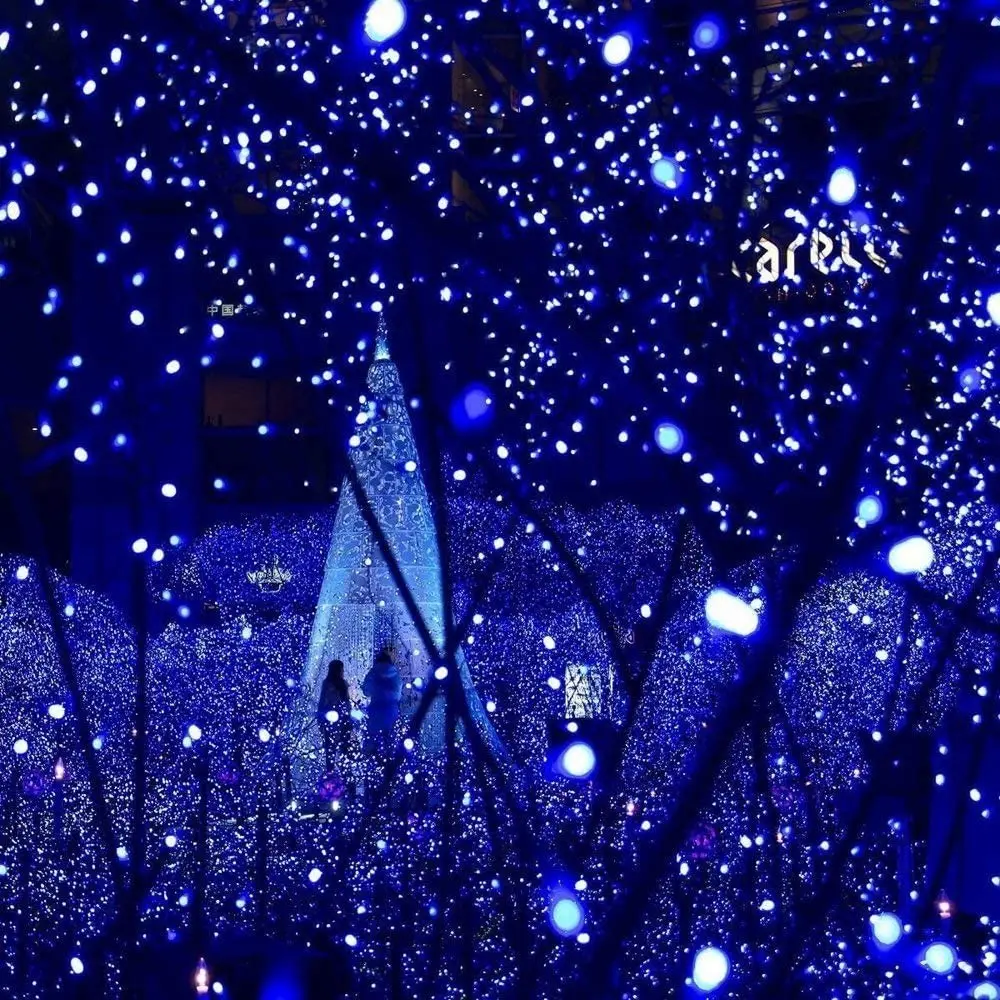 Гирлянда Нить уличная 10м 220 В шнур прозрачного цвета 100 LED 80 синих и 20 мигающих |