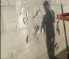 Изображение товара 1