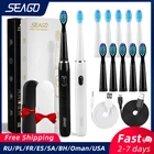 SEAGO электрическая зубная щетка Sonic USB зарядка для взрослых Смарт отбеливание зубов 4 режима замена головки путешествия таза SG551