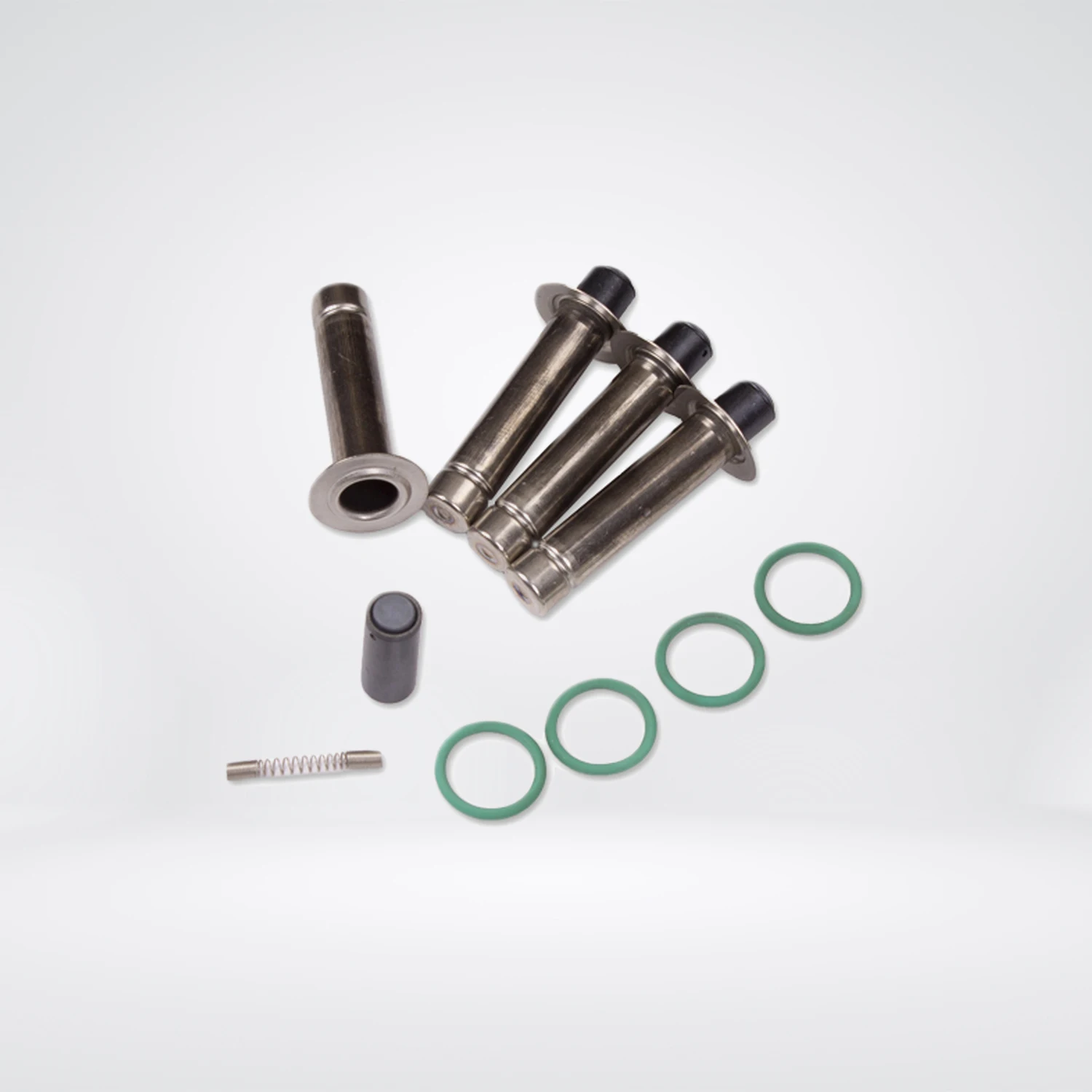 Набор ремонта для быстрых пластиковых рамп OMVL (4 цил.) 2018 и выше.