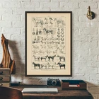 Винтажная анатомическая карта с изображением французской лошади, настенный художественный декор, лошадь, иллюстрация, постер с животными, холст, живопись, офисный Декор