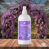 Изображение товара 2