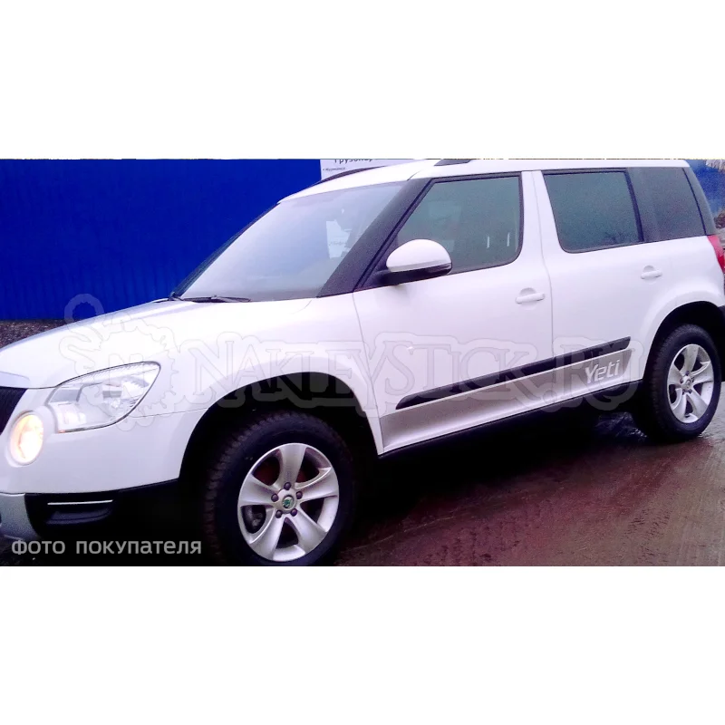 Купить Дверь Шкода Етти