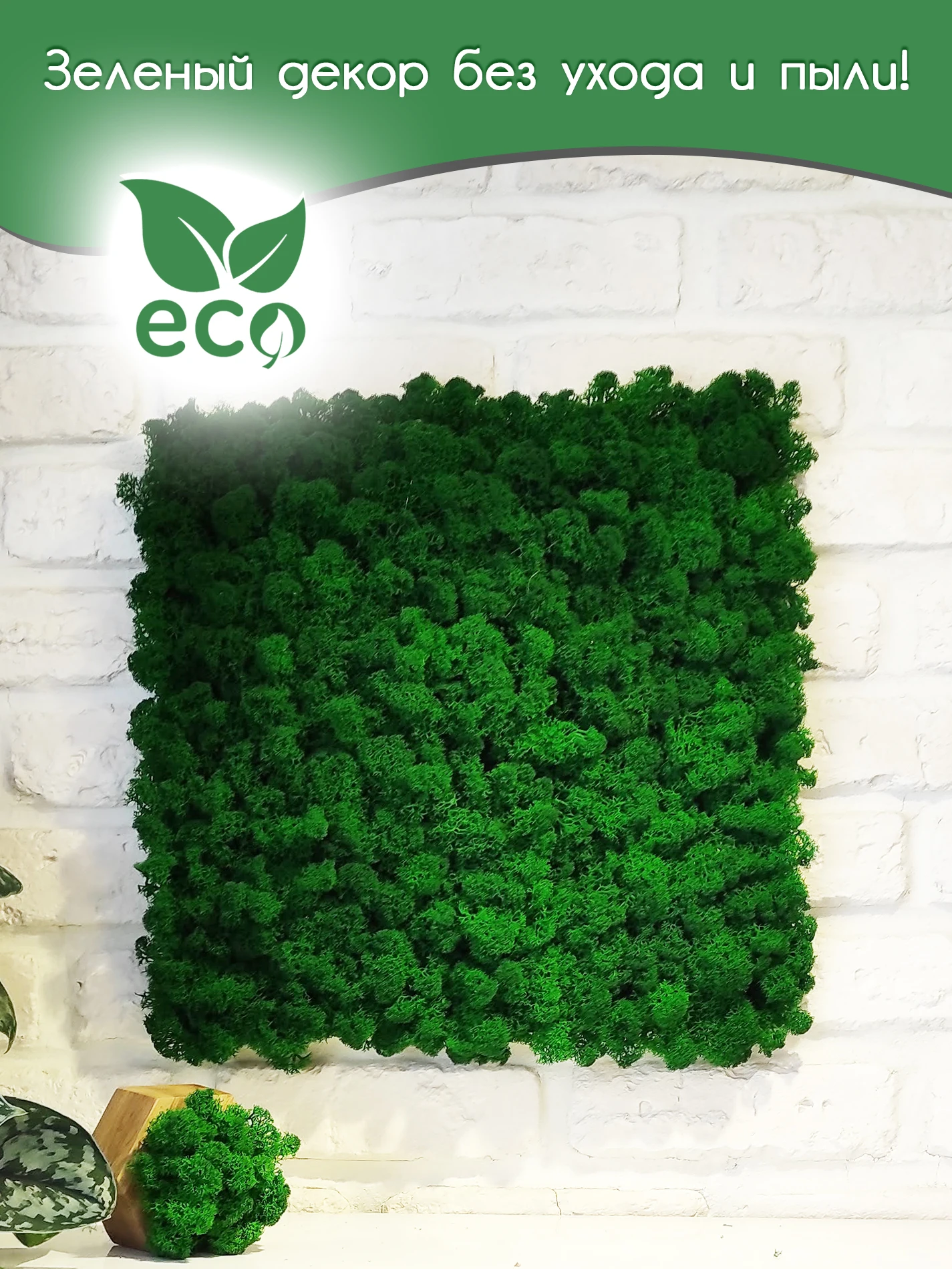 Панель из стабилизированного мха 30*30см декор интерьера настенное украшение -