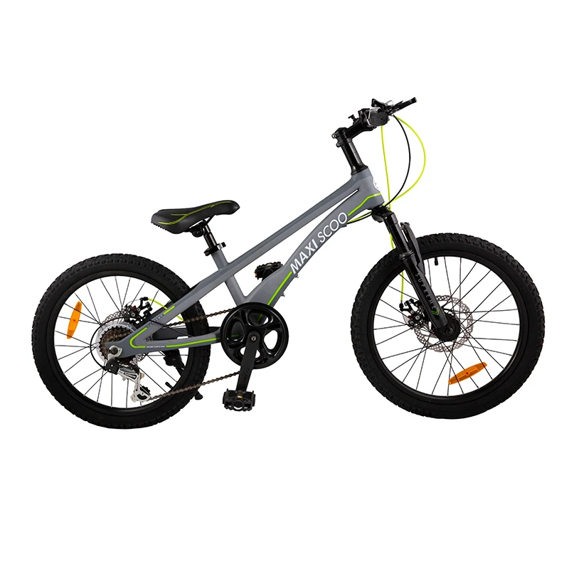 Велосипед 2-х колесный Детский Maxiscoo &quotSupreme" (2021) 6 Скоростей 20" Серый Матовый
