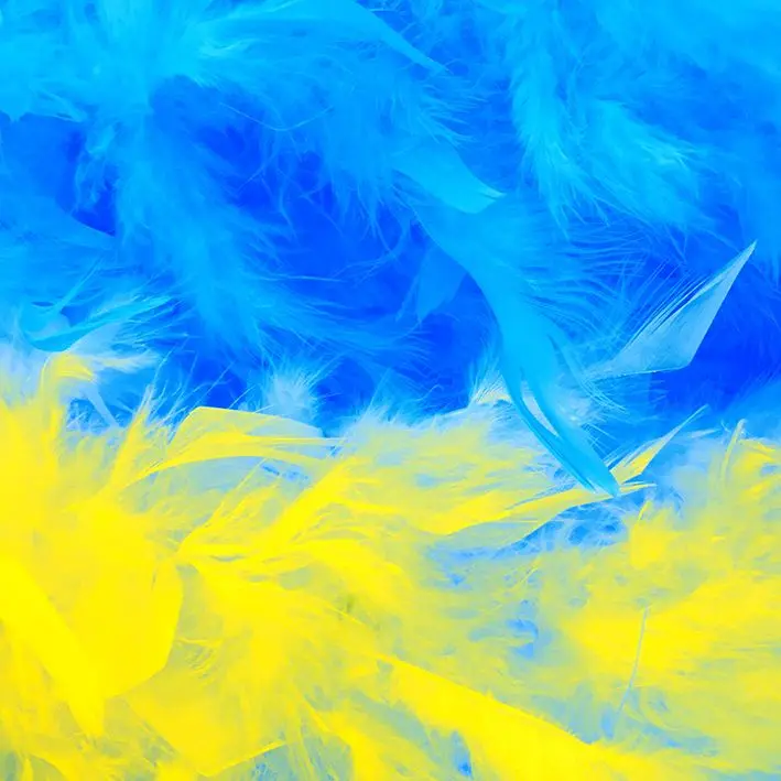 

Curtain Feathers Birds Nature Creative Art in Bright Colors Decorative Artistic Design Photo Yellow Blue