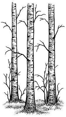 

Новинка 2022, штамп с деревом, прозрачные штампы для скрапбукинга, Прозрачная силиконовая резина, сделай сам, декор для фотоальбома 318