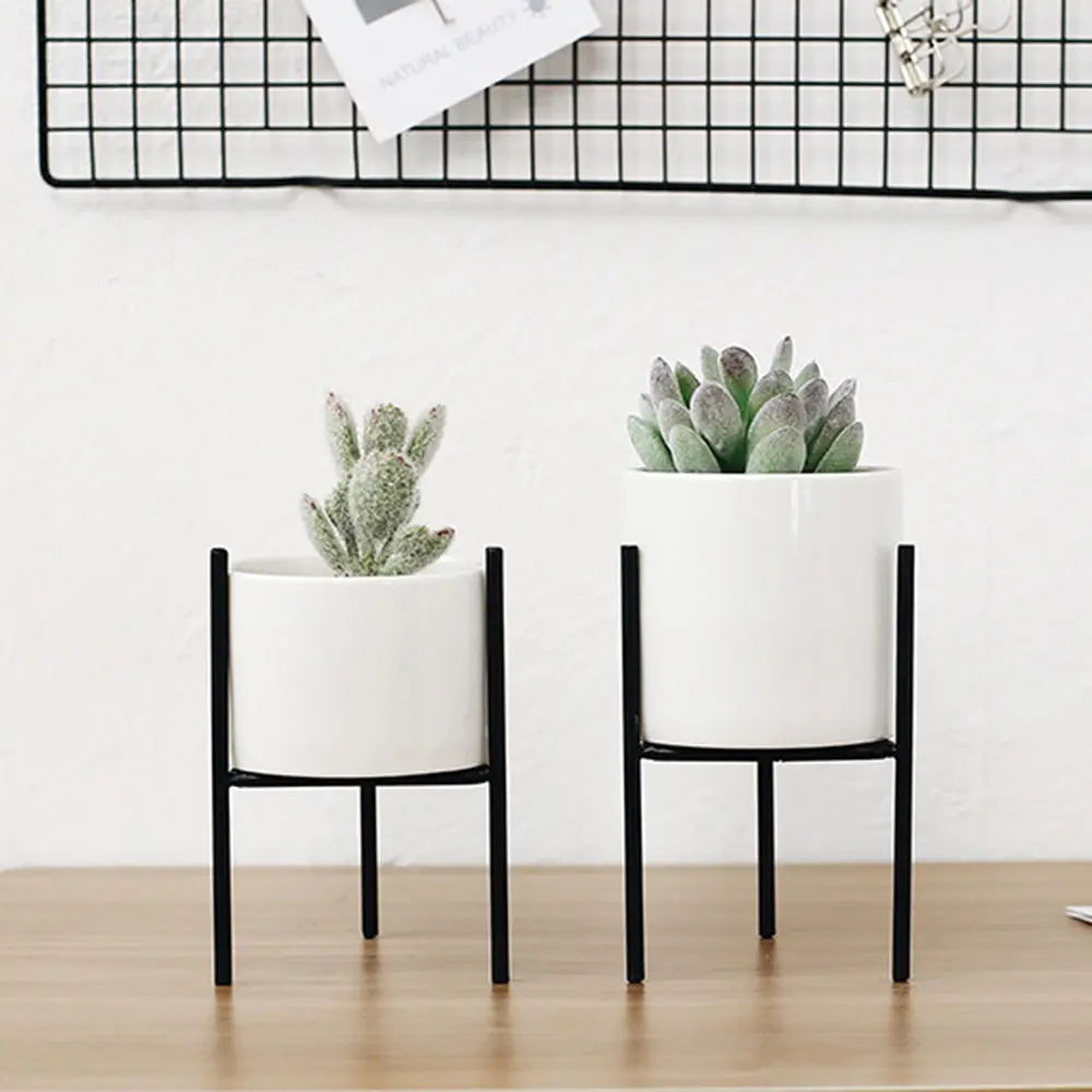 Горшок цветочный ваза (суккулент) Декор на черной подставке семена искусственные