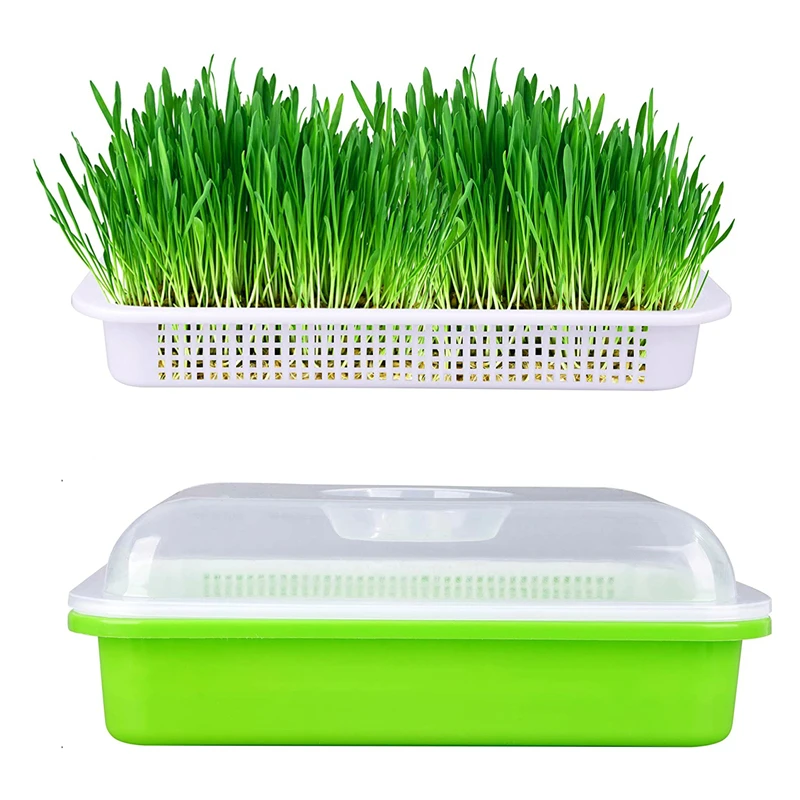 

1PCS Soilless Seed Germination Device Seed Germination Tray Seedling Sprout Plate Grow Nursery Pots Vegetable Seedling Pot