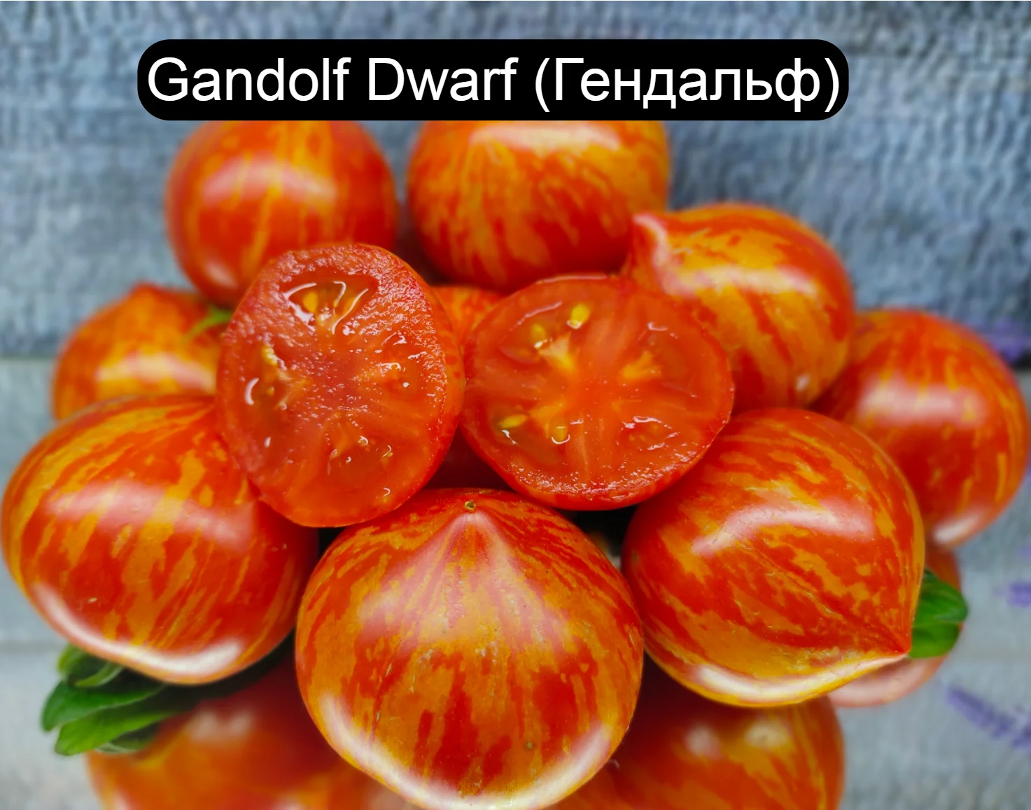 Семена томата Набор №1 (низкорослые) серия Гномы (Dwarf Tomato Project) 9 сортов | Дом и сад