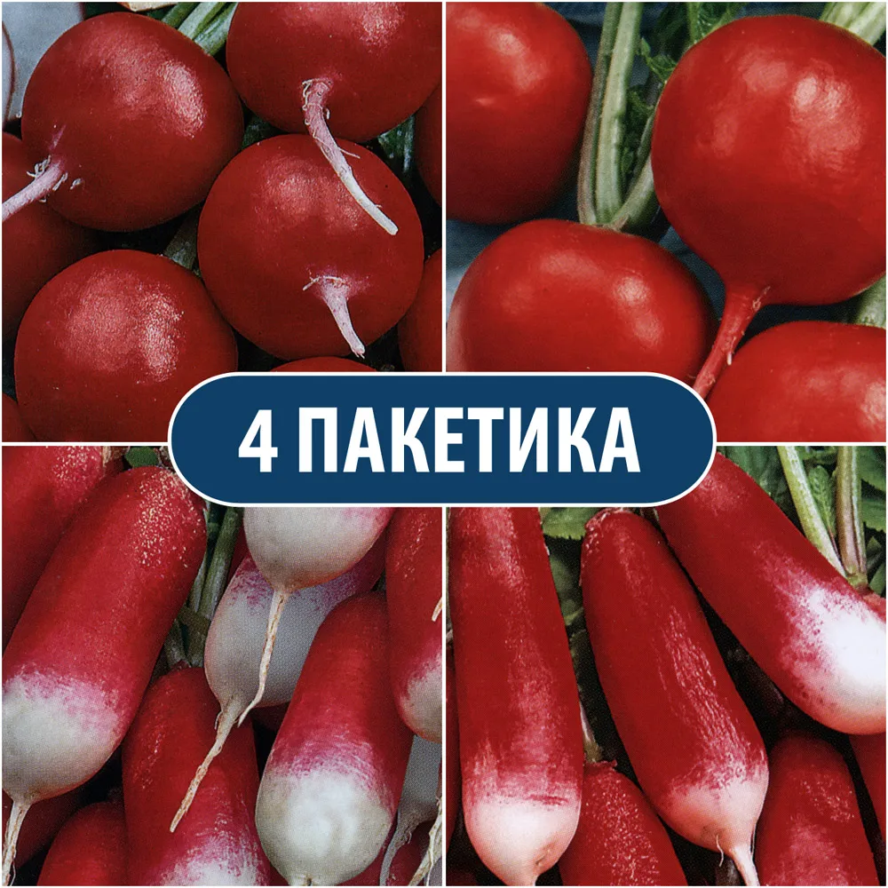 Семена овощей редиса (4 пакетика) | Дом и сад