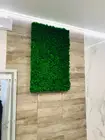 Стабилизированный мох 1кг весом (Stabmoss) ягель Норвежский натуральный зеленая стена вечный живой зелень фитостена декор дом