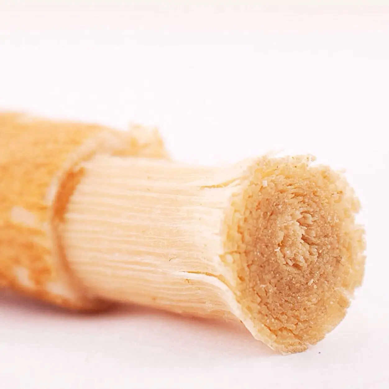 

Fresh Traditional Natural Toothbrush Misvak Miswak Arak Siwak Miswaak Teeth Whitener Soft Salvadora Persica