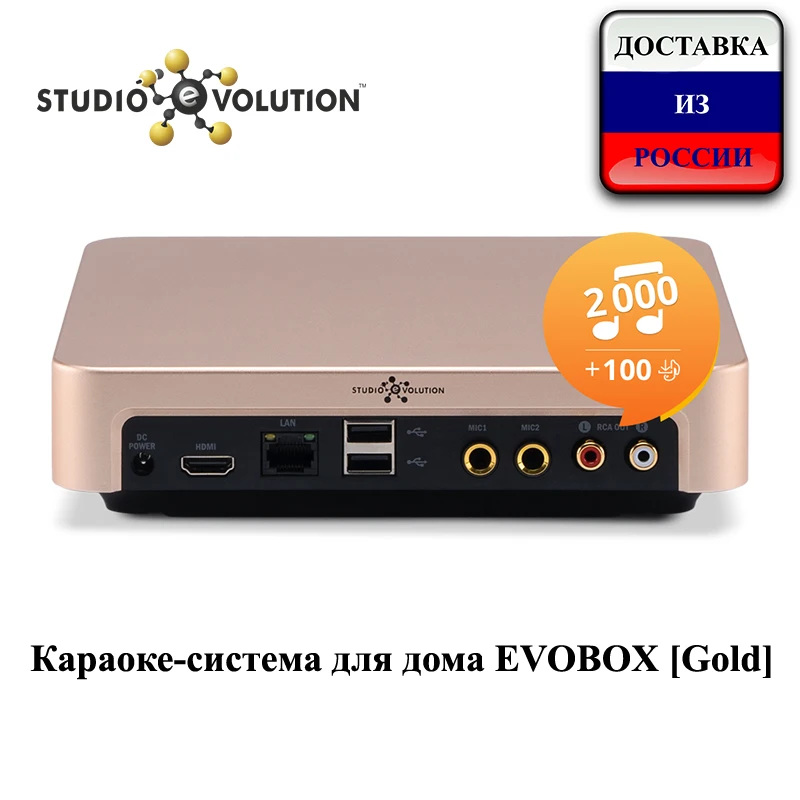 Караоке система для дома EVOBOX [Gold]|Караоке и микшерные пульты| |