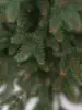Изображение товара 1