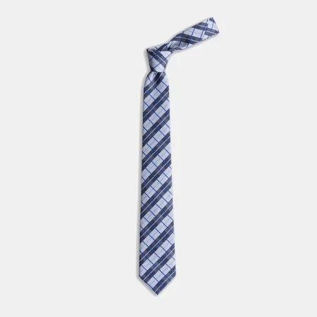 

Navy blue And White Plaid Pattern Silk Tie 67824782