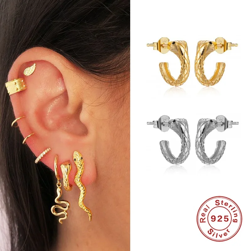 

1 Pair Punk Snake Earrings Gold Silver Color Personality Stud Earings For Women Vintage Animal Brincos Female Fashion Jewelry