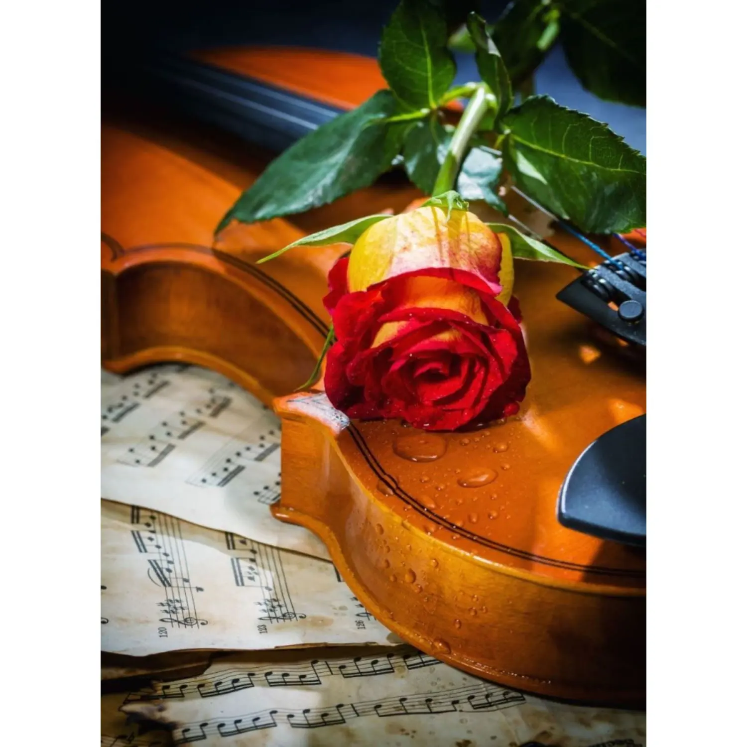 

Nova Puzzle 41112: Music, Love and Sadness 1000 Piece Jigsaw Puzzle-Red Rose, Violin, music Notes, Love, Love 1000 Piece Jigsaw