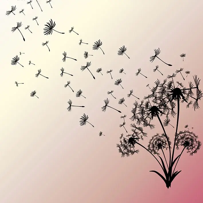 Занавеска для душа Одуванчик цветы летающие на воздухе летние дикие растения