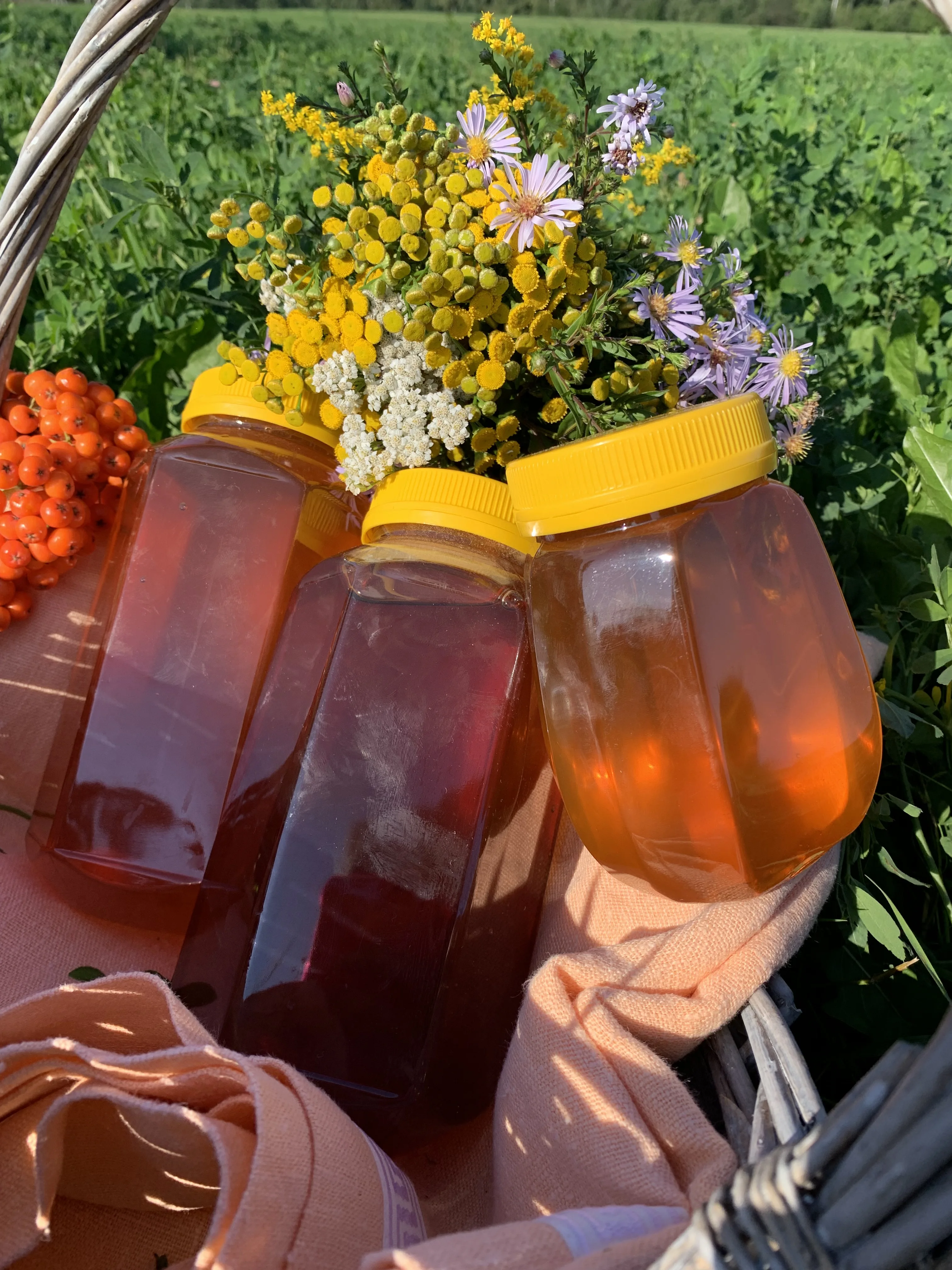 Мёд Разнотравье Цветочный Алтайский Натуральный 550 гр купить чай мед Алтай slash glass