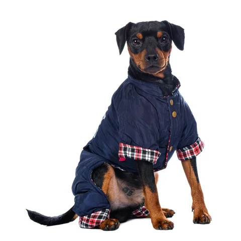 Комбинезон синий L |