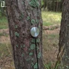 Изображение товара 5