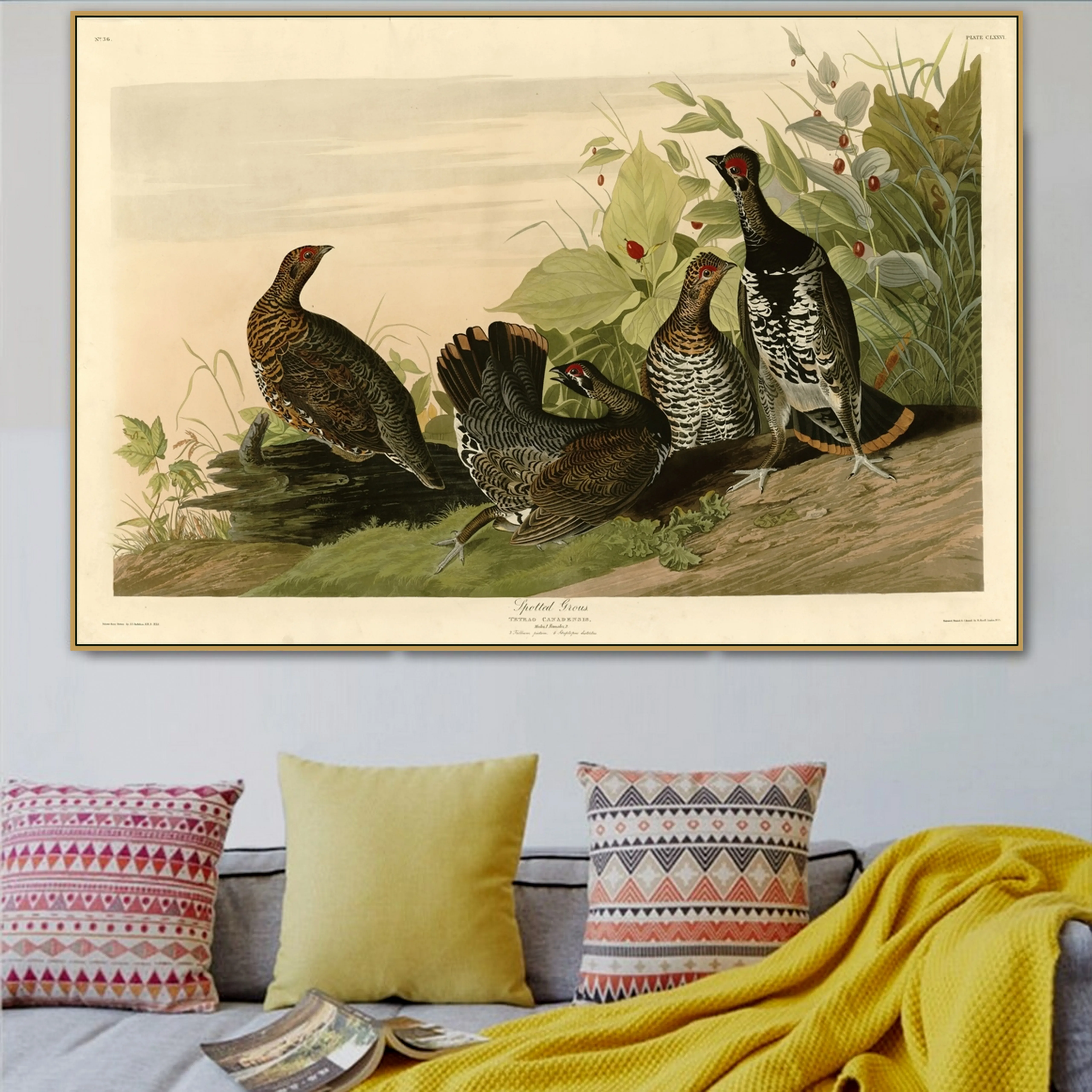 Джон Джей. Audubon старый знаменитый американский художник пятнистый холст фотообои