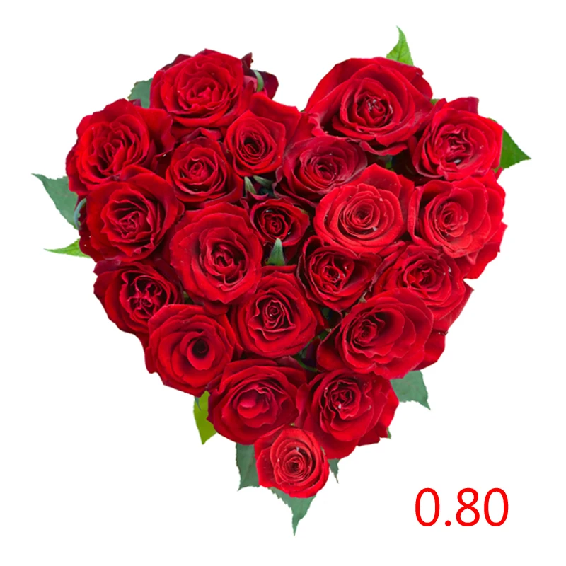 

Стоимость доставки/дополнительная плата/возврат --- 0,80