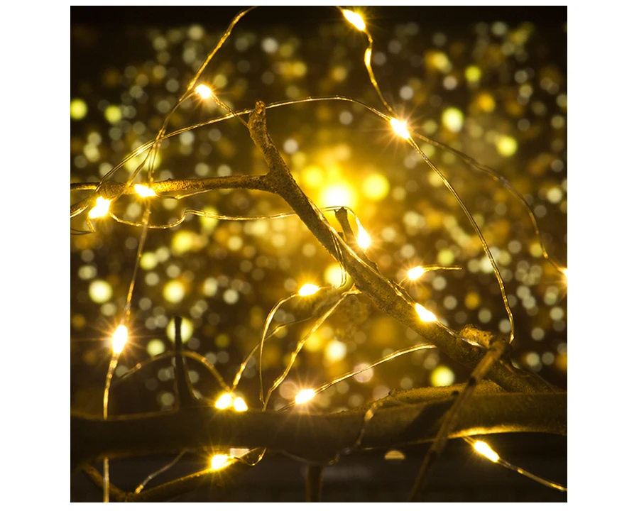 

AiLESEN 10M 100Leds Copper Wire String Lights Fairy Christmas Tree Decoration Lamp Waterproof Garland Light