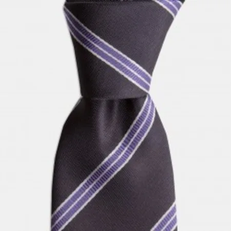 

Lilac with Gray And White Stripe Tie 67826041