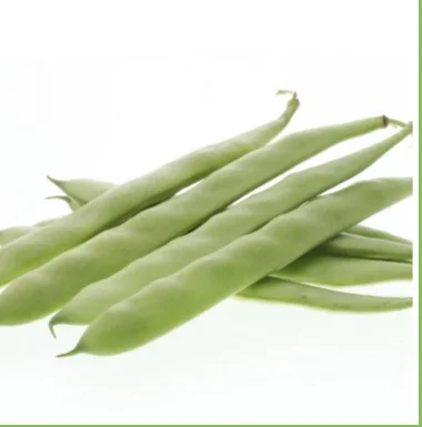 

RIBERA Oturak Fasulye Tohumu (2 Kg)