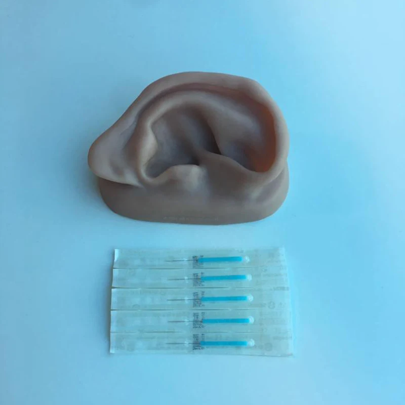 

Ear Acupuncture Model
