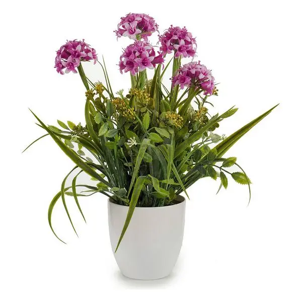 Decorative Plant Ibergarden (23 x 41 23 cm) |