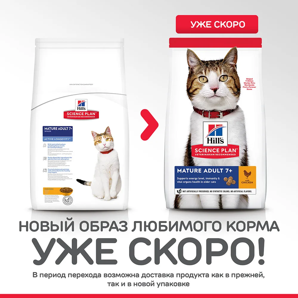 Hill's Science Plan Active Longevity сухой корм для кошек старше 7 лет с курицей 2 кг|Кошачий корм|