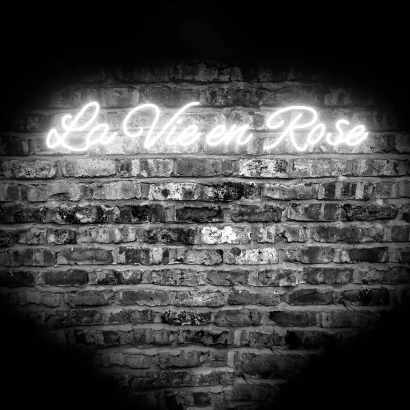 

La Vie En Rose Neon Sign Light Wall Decor Customize for Art Home Party Birthday High Quality Acrylic Brightness Light Design