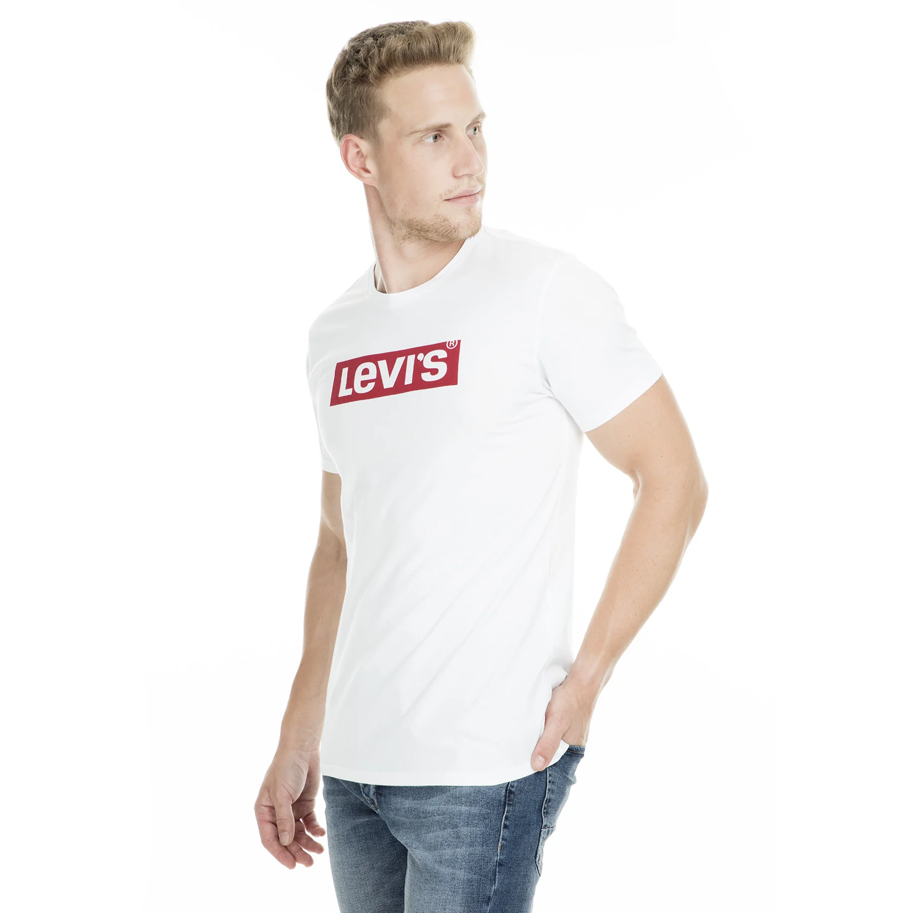 Вышитая Футболка Levi's 22491|Мужские футболки| |