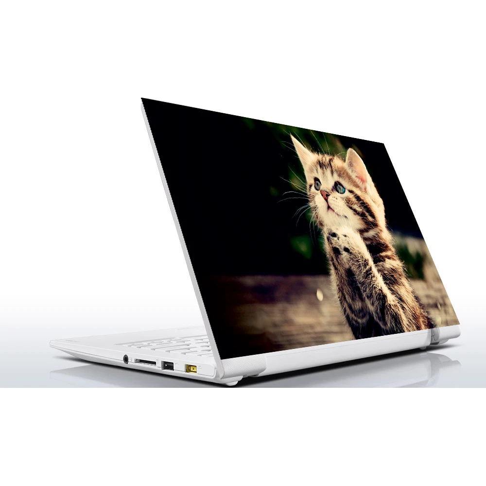 наклейка master cat 1 для ноутбука вин