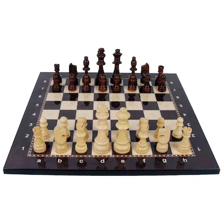 

Luxury chess set wood shape medieval chess high quality chess board track magnetic board game figure sets szachy