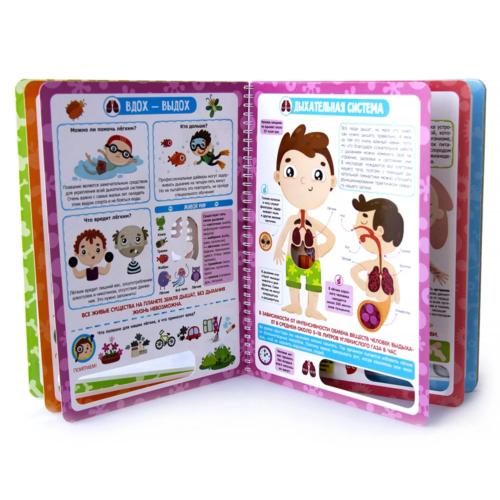 Энциклопедия Почему бьётся сердце? Анатомия для детей(книжка на