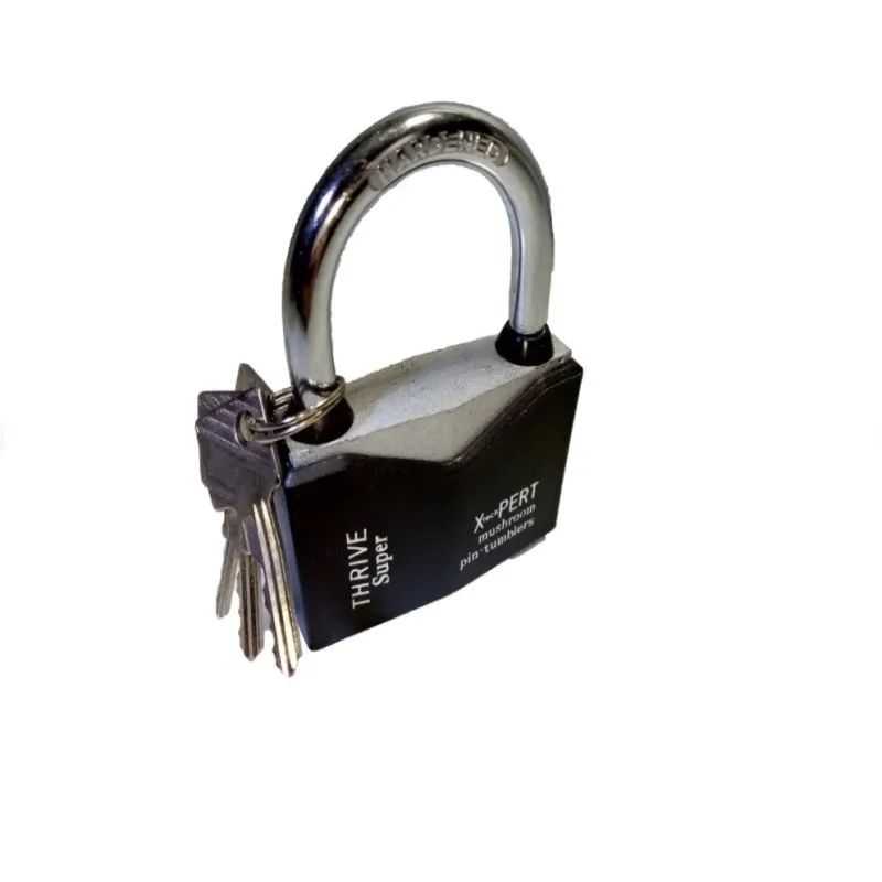 Замок навесной 40мм (цветной) | Обустройство дома