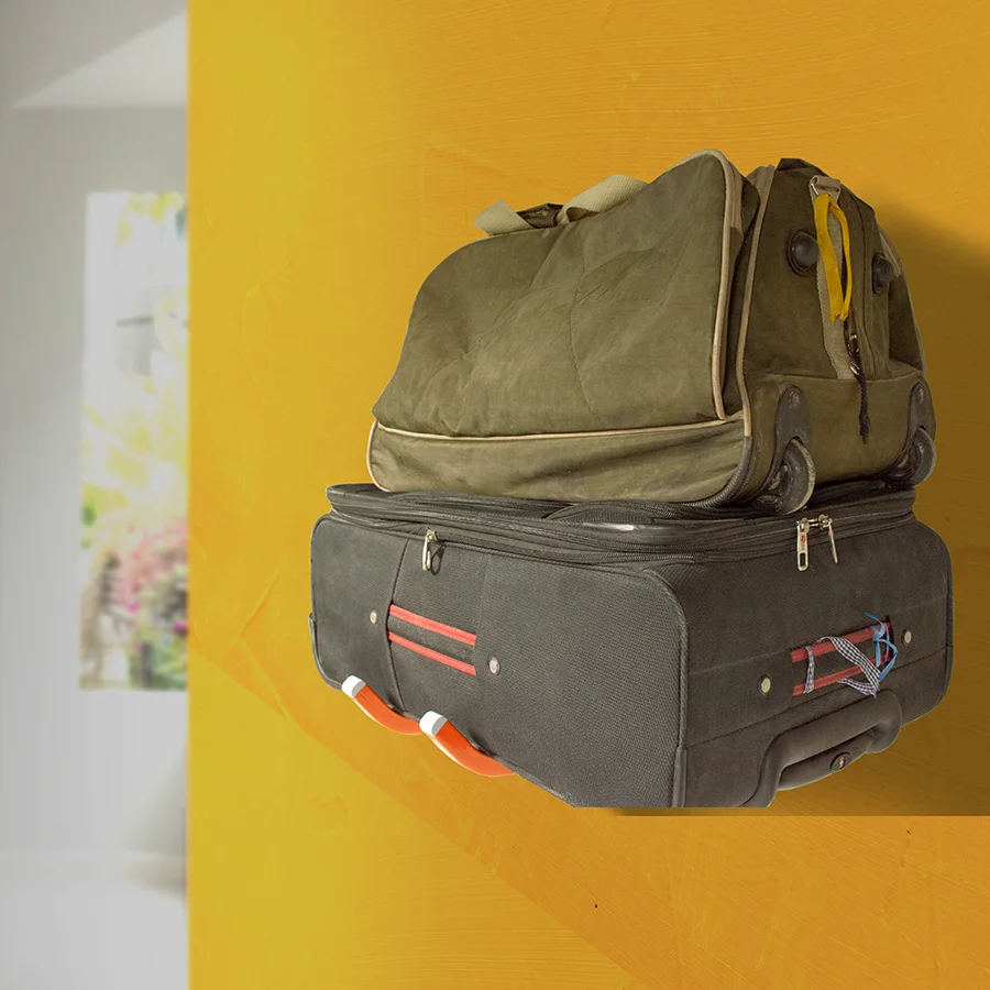 Double-Delta hook-Park hd-45 | Multi-Purpose Hooks