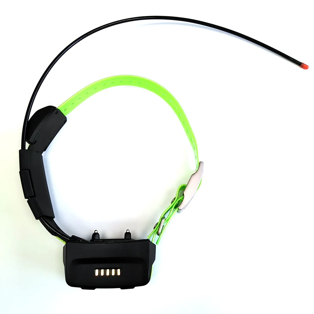 Ошейник гармин. Ошейник garmin t5. Собачий ошейник garmin t5. Gps-ошейник ошейник garmin t5. Ошейник garmin t5 mini.