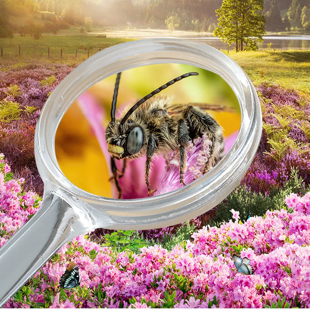 Акриловое прозрачное бензольное пластиковое увеличительное стекло 35 мм с