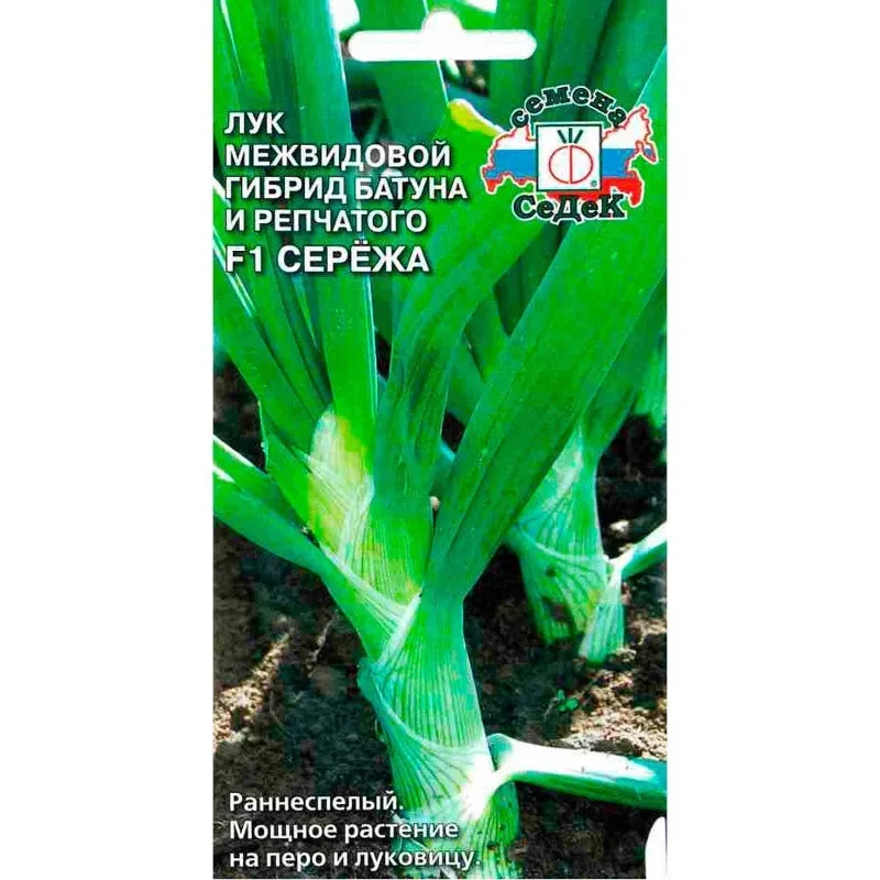 Семена Седек Купить В Спб