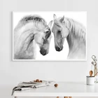 Животные, белые дикие лошади, Современная фотография, плакат, холст, печать, фермерское искусство, Настенная картина для дома, гостиной, декоративная живопись