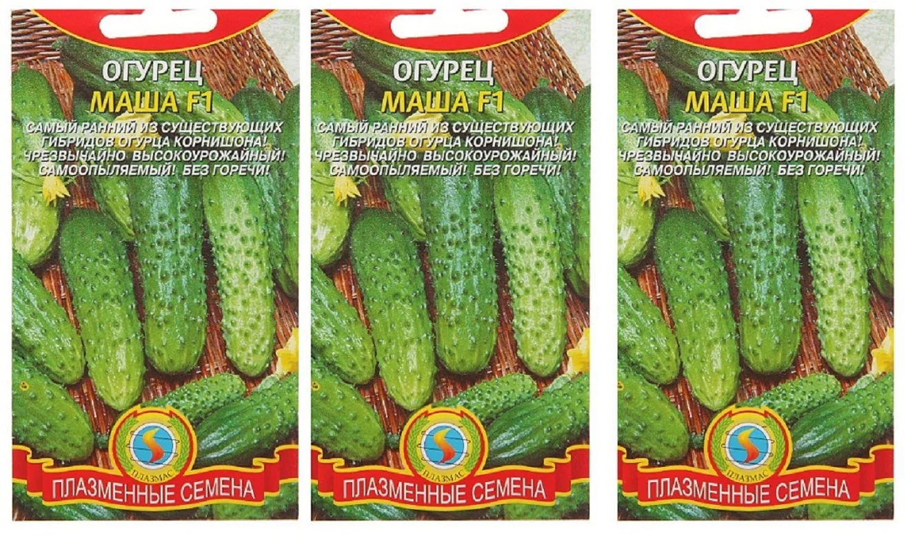 Семена Огурцов Маша Купить В Москве
