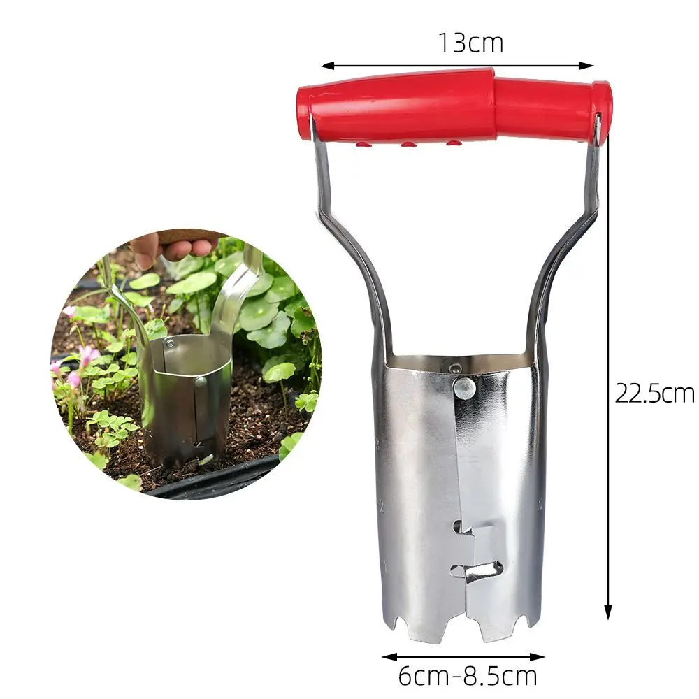 

Seedling Transplanter Vegetable Flower Seedling ExtractorSucculents Seedling Transplanter Garden Planting Seed Hole Puncher